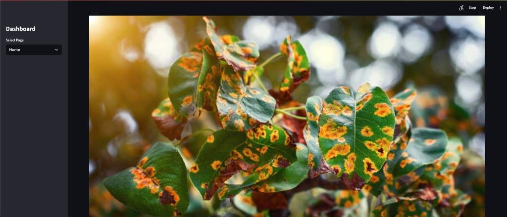 Plant Disease Recognition System — Streamlit app: home page, mission, and disease detection