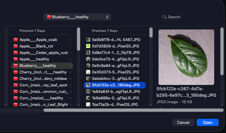 Plant Disease Recognition System — Selecting a leaf image from the dataset