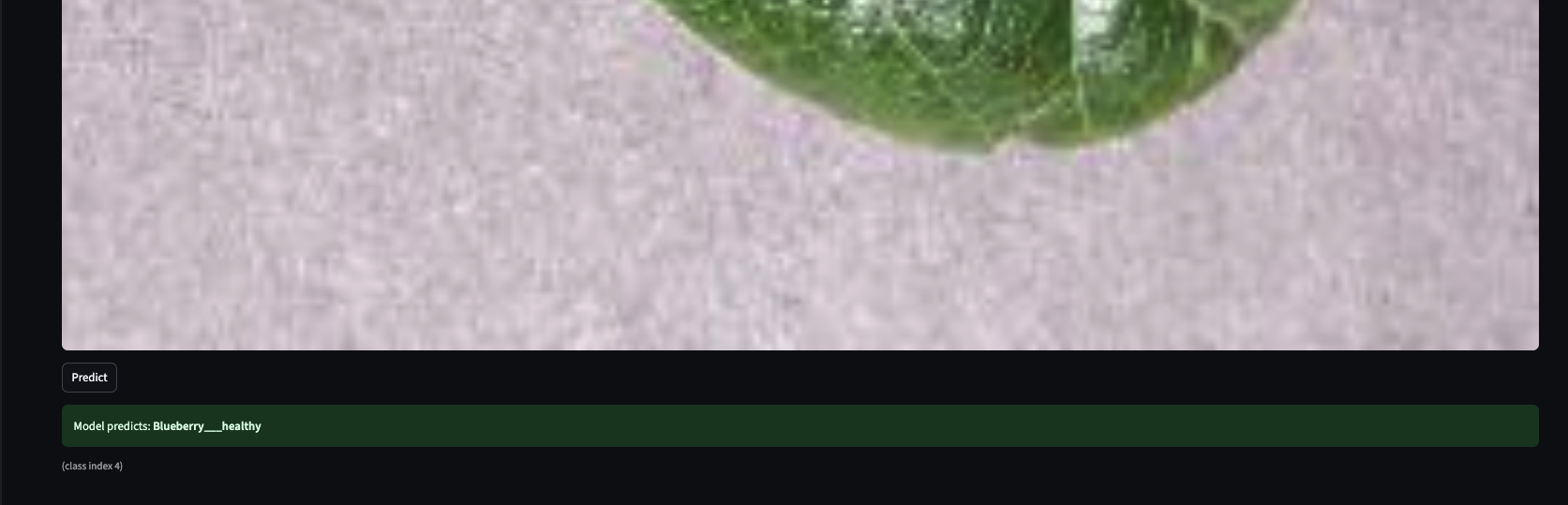 Plant Disease Recognition System — Model prediction: Blueberry healthy, class index 4